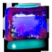 Aqua Dragons Illuminated