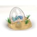 Aqua Dragons Jurassic Time Travel EGGspedition