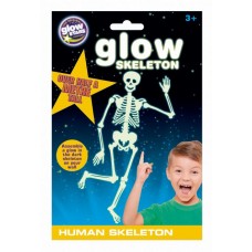 Glow Skeleton - Human 