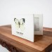 Large White Butterfly Travelcard Holder