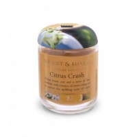 110g Small Jar Candle: Citrus Crush