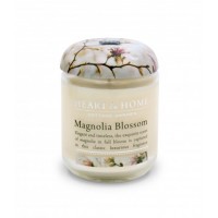 115g Small Jar Candle: Magnolia Blossom