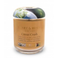 300g Large Jar Candle: Citrus Crush 300g Large Jar Candle: Citrus Crush