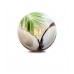 340g Large Jar Candle: Coconut Escape