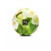 340g Large Jar Candle: White Jasmine & Freesia