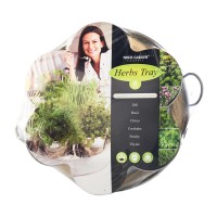 Tray c/w 6 Pots: Dill,Basil,Chives,Coriander,Parsley,Thyme
