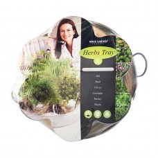 Tray c/w 6 Pots: Dill,Basil,Chives,Coriander,Parsley,Thyme