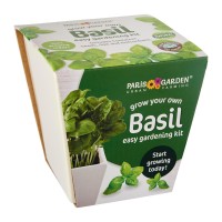 Ceramic Pot: Basil