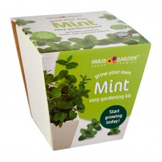 Ceramic Pot: Mint