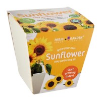 Ceramic Pot: Sunflower