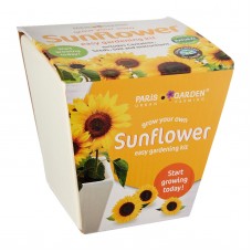 Ceramic Pot: Sunflower