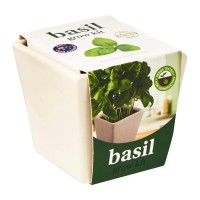 Grow Your Own Kits: Herbs - Basil