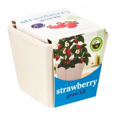 Grow Your Own Kits: Strawberry