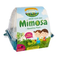 Kids Greenhouse: Mimosa