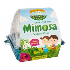 Kids Greenhouse: Mimosa