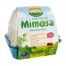 Kids Greenhouse: Mimosa