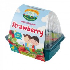 Kids Greenhouse: Strawberry