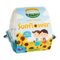 Kids Greenhouse: Sunflower