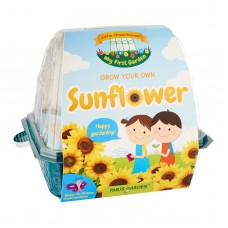 Kids Greenhouse: Sunflower