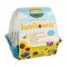 Kids Greenhouse: Sunflower