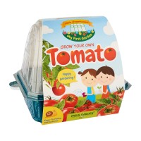 Kids Greenhouse: Tomato