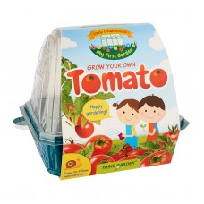 Kids Greenhouse: Tomato