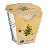Medicinal Herbs: Lemon Balm Medicinal Herbs: Lemon Balm