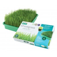Wheatgrass Kit