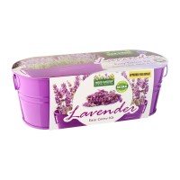 Windowsill Oval & Coloured: Lavender
