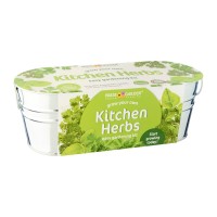 Windowsill Oval: Kitchen Herbs