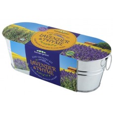 Windowsill Oval Duo: Mini Provence - Lavender & Thyme