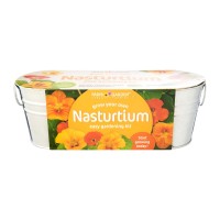 Windowsill Oval: Nasturtium