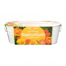Windowsill Oval: Nasturtium