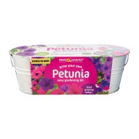 Windowsill Oval: Petunia