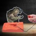 2in1 T-Rex Buzz Wire
