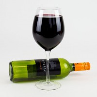Giant Wine Glass