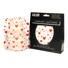 Modgy Luminaries: Amor