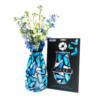 Modgy myvaz: Morpho