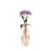 Modgy Myvaz: Lila Peach