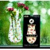 Modgy Window Suction Cup Vase: Tippi