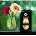 Modgy Window Suction Cup Vase: Mardy