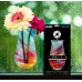 Modgy Window Suction Cup Vase: Rize