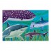 Foil Puzzles: Sharks