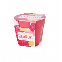 Bio Pots: Strawberry