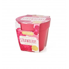 Bio Pots: Strawberry