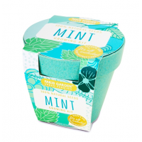 Bio Pots: Mint