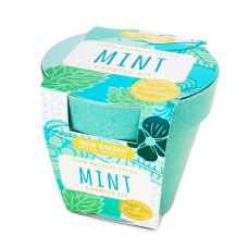 Bio Pots: Mint
