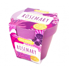 Bio Pots: Rosemary