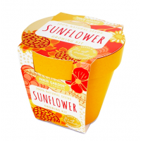 Bio Pots: Sunflower Bio Pots: Sunflower