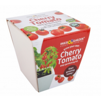 Ceramic Pot: Cherry Tomato